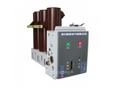雷泉电气VS1-12/630-20（侧装式）户内高压真空断路器