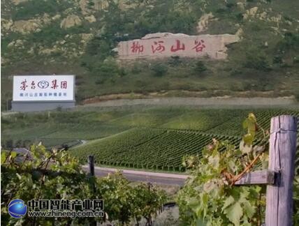 中机国信签订《关于茅台葡萄酒RFID追溯系统建设的合作协议》