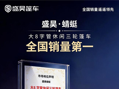 销量为王：盛昊蜻蜓以实力确立细分市场领跑地位