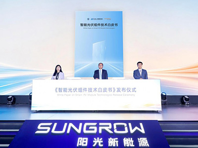 首个智能组件分级标准发布：阳光新能源拿下行业首张高效智能组件证书